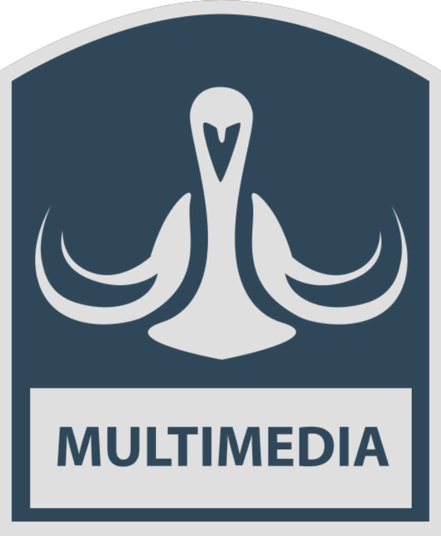 Multimedia